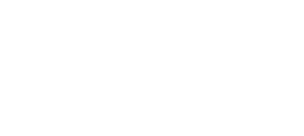 BMS Micro